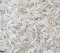 High Quality Polished White Rice