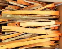 Cinnamon