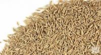 NATURAL CUMIN SEED