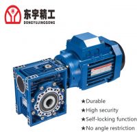 DongYu Customize 0.75Kw Worm Gear Reducer With Good Security