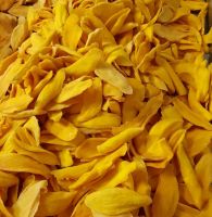 Soft dried mango