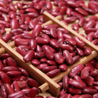 Red Kidney Beans 