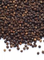 Black Pepper +84327008393 BEST PRICE