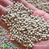 NEW SEASON BLACK AND WHITE PEPPER +84327008393