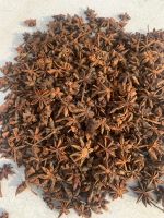 Star Anise +84327008393 BEST PRICE