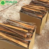Vietnam Cinnamon best price +84327008393