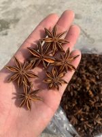 Star Anise +84327008393 BEST PRICE