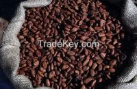 trinitario cocoa beans