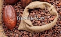 trinitario cocoa beans