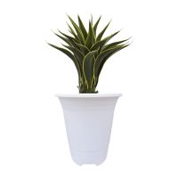 TALL PLANTER WITH  FLORAL PATTERNS