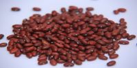 Kidney Beans 