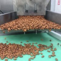 https://www.tradekey.com/product_view/Almond-Nuts-9370915.html