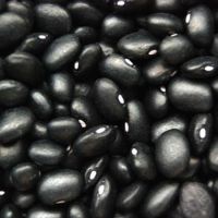 Black Kidney Beans Buy black kidney beans