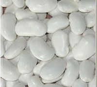 Big sized white kidney beans