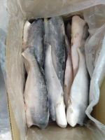 Frozen Pangasius 