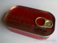 canned sardine