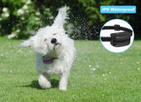 Rechargeable Dog Training Citronella Spray Anti Bark Control For Dogs