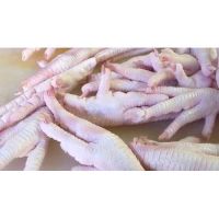 Halal Chicken Feet / Frozen Chicken Paws Brazil 