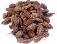 Amazing Black Cardamom Benefits For Skin, Hair & Health