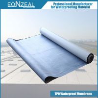 thermoplastic Polyolefin (TPO) Waterproof Membrane