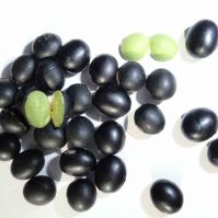 BLACK BEAN WITH GREEN KERNEL