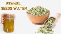 fennel seed