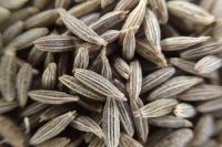 cumin seed