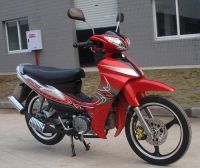 Cub Motorcycle (BS110-29)