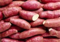 Fresh Sweet Potatoes