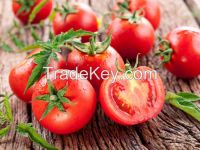 Fresh Tomatoes