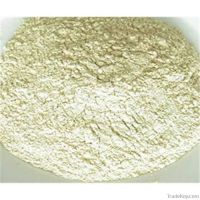 Dehydrated Onion Powder