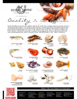 Ocean Gems Premium Seafood Range