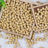 Newest organic soybeans containing several nutrients for sell
