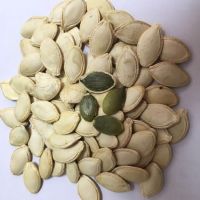 shine skin pumpkin seeds good quality size for sale