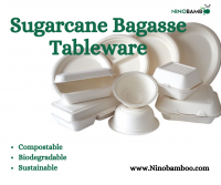 Eco Friendly Disposable Tableware