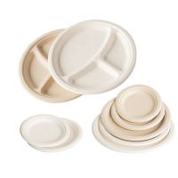 Eco Friendly Disposable Tableware