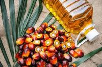 Obor Refined Palm Olein Cp8 Cooking Oil 