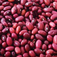 Dark Red Kidney Beans Long Shape Kidney Beans 