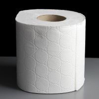 Buy / Order Factory Direct White Toilet Paper Tissue Rolls Paper 