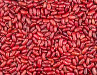 Dark Red Kidney Beans Long Shape Kidney Beans 