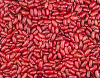 Dried Dark Red Kidney Beans with Big Size 