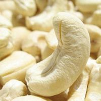 Grade A Processed Raw Cashew Nuts