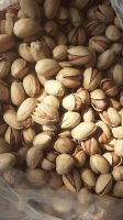https://www.tradekey.com/product_view/Bulk-Raw-Pistachio-Nut-With-High-Quality-1kg-Price-9727831.html