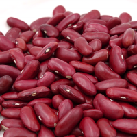Wholesale Dried Dark Red Kidney Bean long shape Kidney Beans 