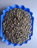 https://www.tradekey.com/product_view/Arabica-And-Robusta-Export-Quality-Coffee-Bean-9723131.html