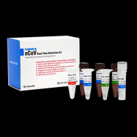 Standard M nCoV Real-time Detection Kit (South Korea COvid-19 Test Kit)