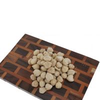 Indonesia High Grade Round Shape Candlenut 