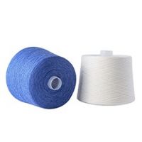 Cashmere Yarn Factory 2/46Nm