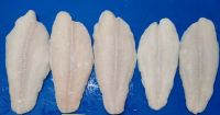 Pangasius Fillet