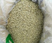 Robusta Coffee/Arabica Green Coffee Beans 